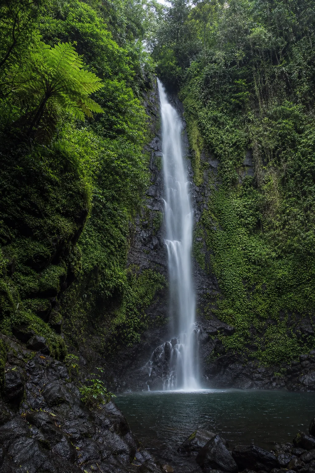 Tall waterfall hidden in the Bali jungle